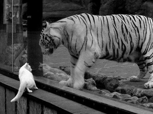 国庆期间有啥好看的大片看么